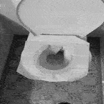 WC Auflage wird in die Toilette gespült